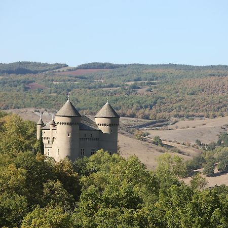 Rivière-sur-Tarn Chateau De Lugagnac מראה חיצוני תמונה